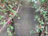 image of grave number 736956